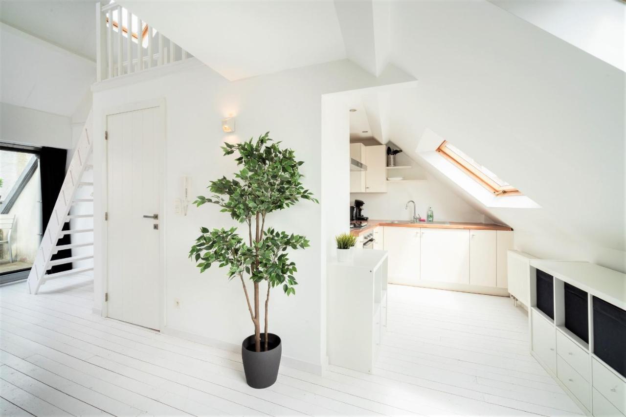 Beautiful Cozy Apartments In The Heart Of Antverpy Exteriér fotografie